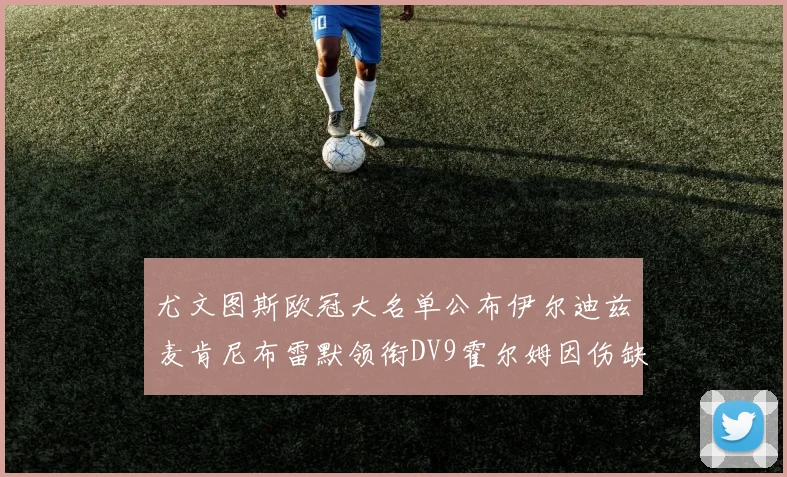 尤文图斯欧冠大名单公布伊尔迪兹麦肯尼布雷默领衔DV9霍尔姆因伤缺席