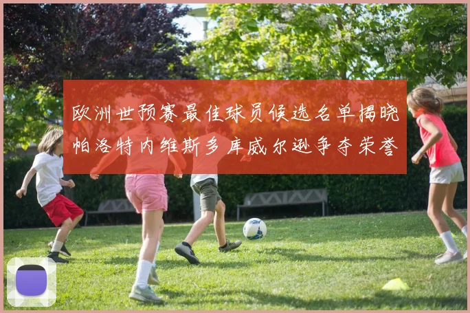 欧洲世预赛最佳球员候选名单揭晓帕洛特内维斯多库威尔逊争夺荣誉