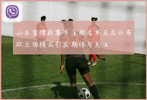 山东蜜獾新赛季注册名单正式公布双主场模式引发期待与关注
